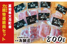 高知県大月町産 力豚 特選精肉セット　8種×100g