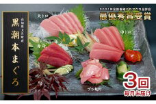 【3回お届け】黒潮本マグロ 贅沢! 食べ比べセット