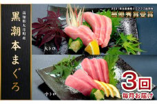 【3回お届け】黒潮本マグロ トロ好きのためのトロセット！