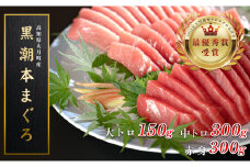 【高知県大月町産 本マグロ】 大トロ・中トロ・赤身750g