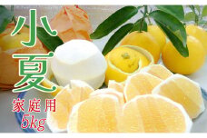【高知県 大月町産】コーラルフルーツ農場の家庭用 小夏（5kg）