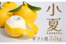 【高知県 大月町産】コーラルフルーツ農場のギフト用 小夏（3kg）