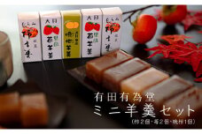 【大月の銘菓】ミニ羊羹セット(5本入)