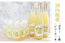 【高知県大月町産】ばんかんじゅーす3本・ばんかんぜりー10個セット