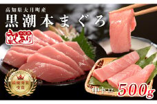 【訳あり】本マグロ 中トロ500g 不定貫 養殖マグロ 高知県産 指定日発送可能