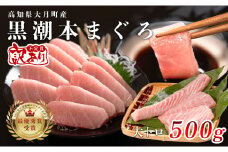 【訳あり】本マグロ 大トロ500g 不定貫 養殖マグロ 高知県産 指定日発送可能