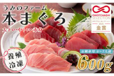 【高知県大月町産】うみのファーム お刺身用本まぐろ赤身・中トロ・大トロ  計600ｇ