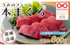 【高知県大月町産】うみのファーム お刺身用本まぐろ 中トロ 600ｇ