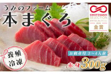 【高知県大月町産】うみのファーム お刺身用本まぐろ 赤身 300ｇ
