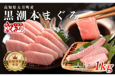 【訳あり】本マグロ 大トロ1kg 不定貫 養殖マグロ 高知県産 指定日発送可能