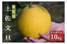 【家庭用大満足の10kg！】温暖な気候が育んだ土佐文旦