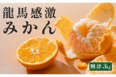 【高知県 大月町産】コーラルフルーツ農場 龍馬感激みかん(興津)　3kg