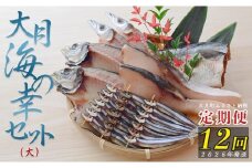 【定期便 12回】大月海の幸セット（大)