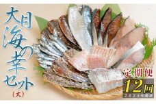 【定期便 12回】大月海の幸セット（大)