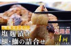 【定期便 4回】塩麹に漬け込んだタイ＆ブリ