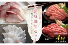 【定期便 4回】本マグロ・タイ・ブリ お刺身堪能セット