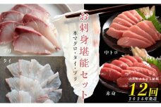 【定期便 12回】本マグロ・タイ・ブリ お刺身堪能セット