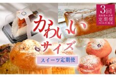 【定期便 3回】かわいいサイズのスイーツ定期便