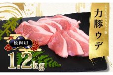 【高知県 大月町産ブランド豚】力豚ウデ焼き肉用1.2kg