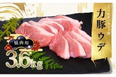 【高知県 大月町産ブランド豚】力豚ウデ肉　焼肉用3.6kg