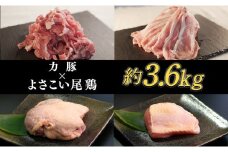 【大月町産】よさこい尾鶏×力豚セット