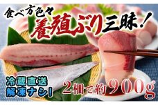 【高知県 大月町産】うみのファームぶり（柵２本セット）