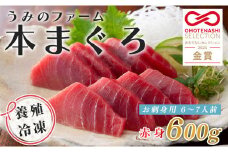 【高知県大月町産】うみのファーム お刺身用本まぐろ 赤身 600ｇ