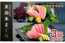 【3回お届け】黒潮本マグロ トロ好きのためのトロセット！