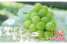【高知県 大月町産】松田ぶどう園　種なしシャインマスカット