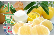 【高知県 大月町産】コーラルフルーツ農場の家庭用 小夏（5kg）