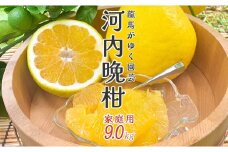 【高知県大月町産】龍馬がゆく園芸 家庭用 河内晩柑(9kg)