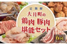 【定期便6回】よさこい尾鶏×力豚