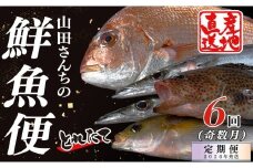 【定期便6回】山田さんちの鮮魚便（奇数月）