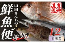 【定期便12回】山田さんちの鮮魚便