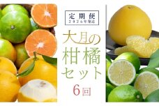 【定期便 6回】大月町旬の柑橘セット