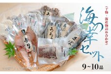 海の幸セット(干物・海産物詰め合わせ)　9～10品
