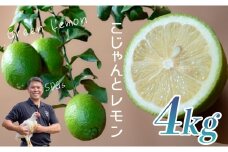 こじゃんとレモン 4kg｜国産 高知県 大月町 レモン 檸檬 レモン水 フルーツ グリーンレモン イエローレモン 果実 柑橘 新鮮 ビタミンC 採れたて フレッシュ 季節の果物 産地直送 美容 健康 安心安全 国産レモン ギフト おすすめ