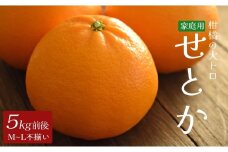 せとか 約5kg 家庭用 高知県産 ハウス栽培｜ハウスみかん 甘い 濃厚 ジューシー 香り豊か 希少 柑橘 柑橘の大トロ 訳あり 果物 フルーツ プレミアム 国産 大月町 人気 美味しい おいしい おすすめ 旬 旬の果物 旬のフルーツ