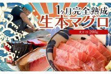 熟成 生 本マグロ 大トロ 200g 冷蔵 刺身用 国産 高知県産 養殖 高級 海鮮 お正月用｜熟成本まぐろ 鮪 まぐろ ギフト お取り寄せ 希少 贈答 グルメ おせち お歳暮 年末年始 ごちそう お正月グルメ お正月のごちそう 1ヵ月熟成 大月町