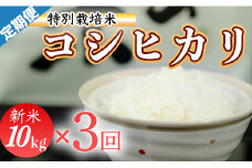 令和７年産 (精白米)　特別栽培米　こしひかり10kg ×3袋