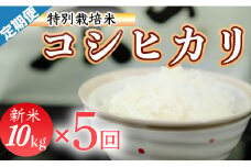 令和７年産 (精白米)　特別栽培米　こしひかり10kg ×5袋