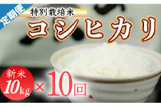 令和７年産 (精白米)　特別栽培米　こしひかり10kg ×10袋