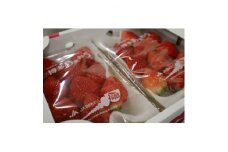 福岡県産「あまおう」約250g×4パック(福岡県)【1314836】
