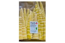 純国産糸島めんま塩漬け穂先　300g×5個【1543967】