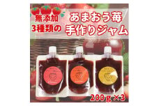3種類のいちごジャム 無添加 あまおうイチゴ200g×3袋 手作り国産 チューブパウチ入り(福岡県)【1654528】