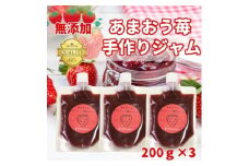 いちごジャム 無添加あまおうとグラニュー糖のジャム200g×3袋 手作り国産チューブパウチ(福岡県)【1660448】