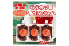 いちごジャム 無添加あまおうとオリゴ糖のジャム200g×3袋 手作り国産チューブパウチ入り(福岡県)【1660455】