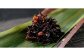 平尾水産 玄海 ギフト セット 佃煮 5種 詰合せ 計650g