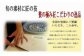 【指定日必須】 本場関門とらふぐ刺身・ふぐ鍋セット(2～3人前)ふく一