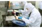 【北九州オンリーワン企業 ふく太郎本部】天然 とらふく 刺身セット 国産